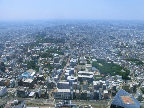 CIMG4444-1.jpg