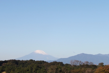 富士山.jpg