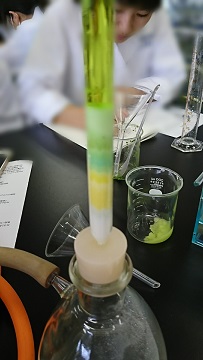 20180621_105057.jpg