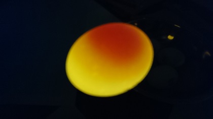 DSC_0872.jpg