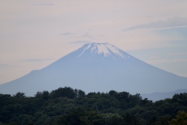 IMG_9767.jpg